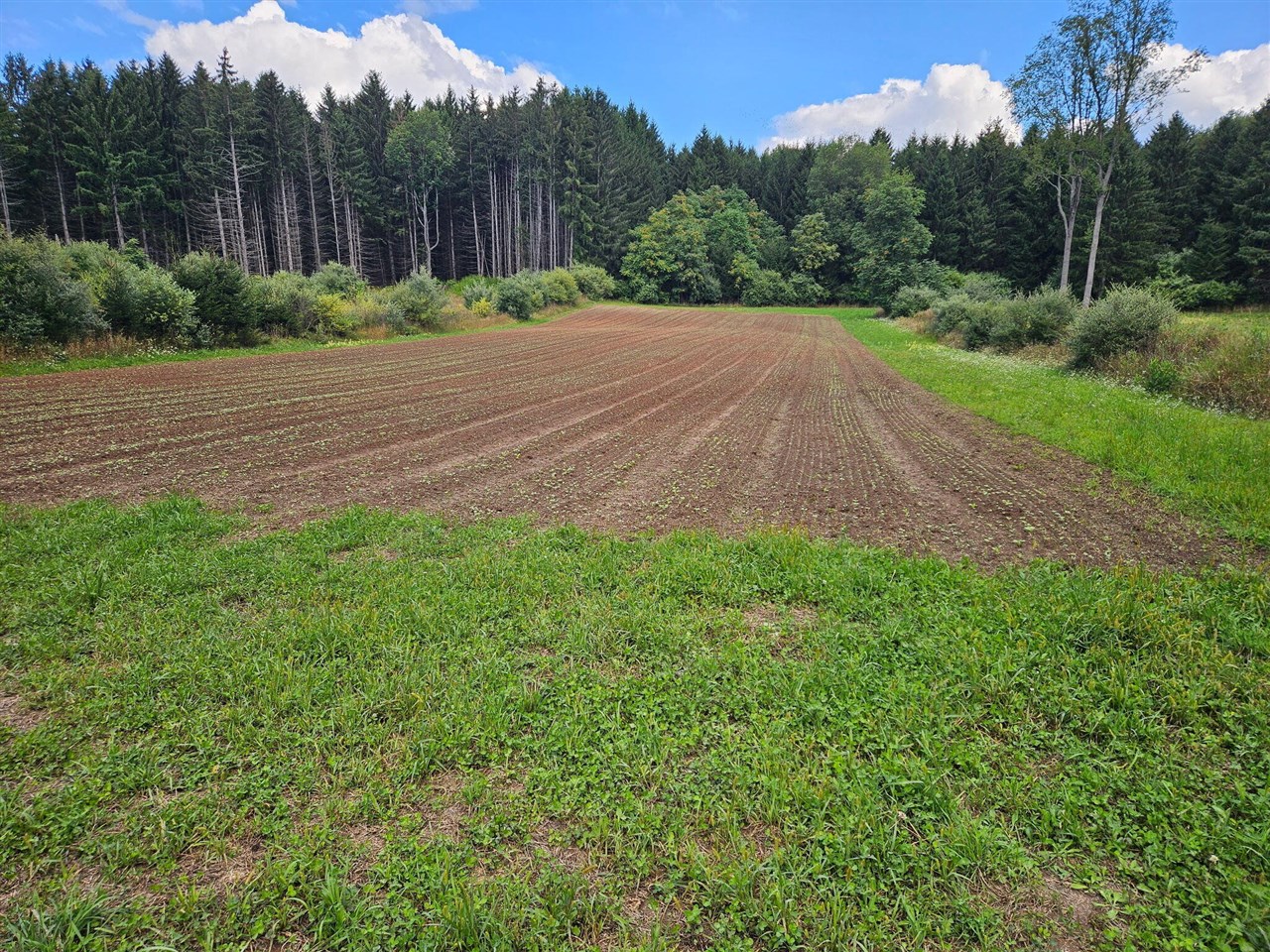 3rd image of V/L E Chauvez Rd, Custer, MI 49405 | MLS# 70552703