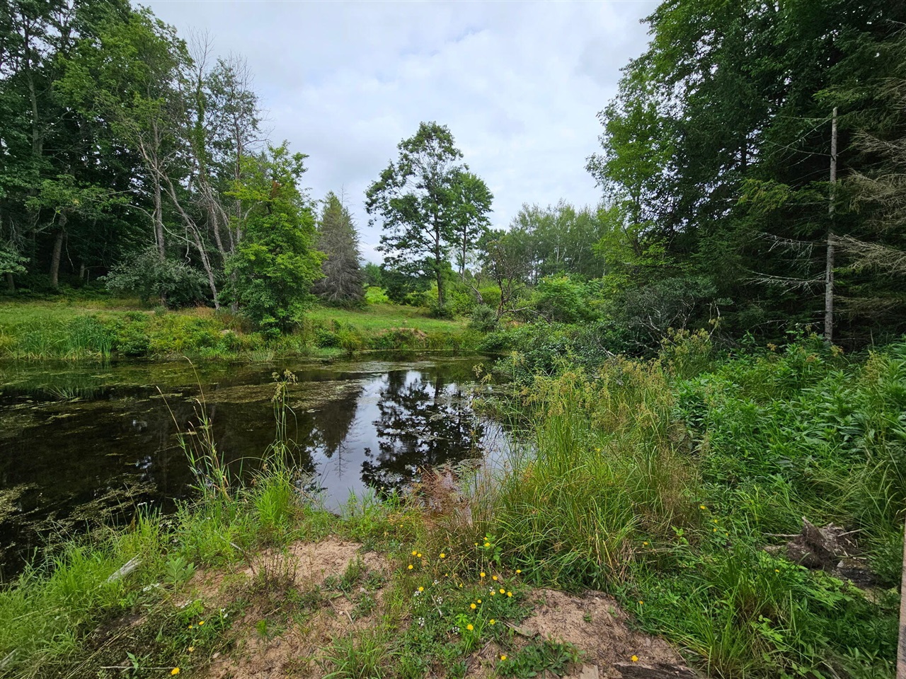 4th image of V/L E Chauvez Rd, Custer, MI 49405 | MLS# 70552703