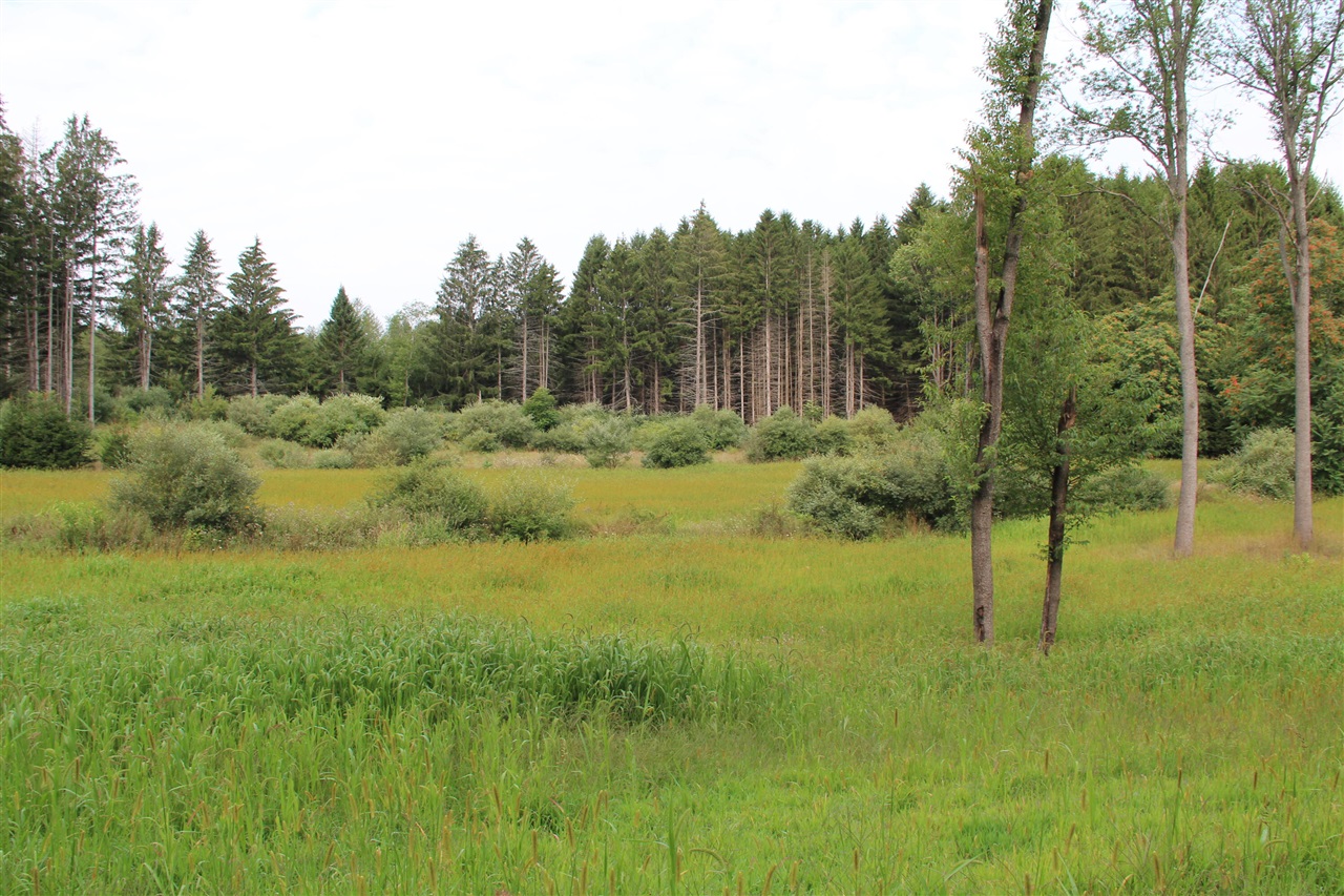 41st image of V/l E Chauvez Rd, Custer, MI 49405 | MLS# 70552703
