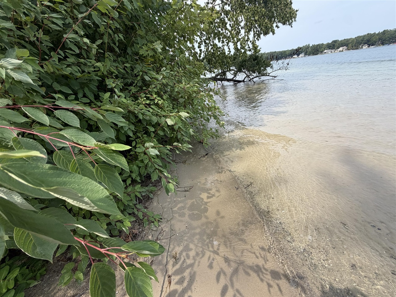 5th image of V/L S Deer Point Dr, Newaygo, MI 49337 | MLS# 70552706