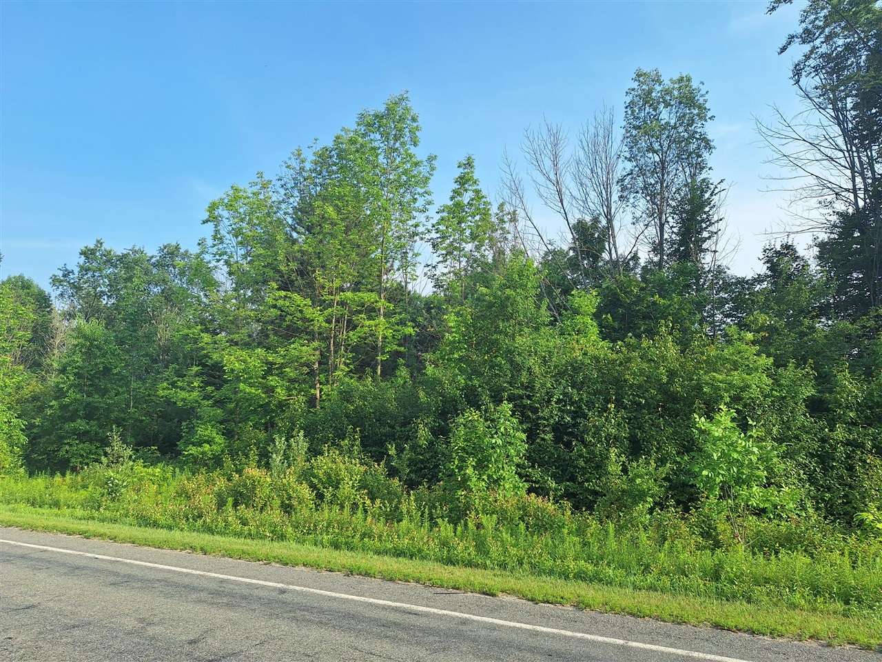 1st image of 000 Vl 14 Mile Rd, Leroy, MI 49655 | MLS# 70552708