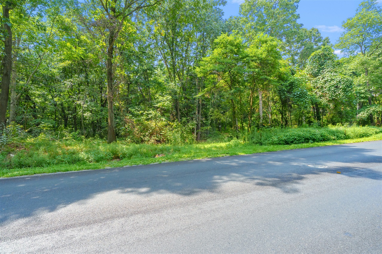 3rd image of 0 N 9Th St, Kalamazoo, MI 49009 | MLS# 70552734