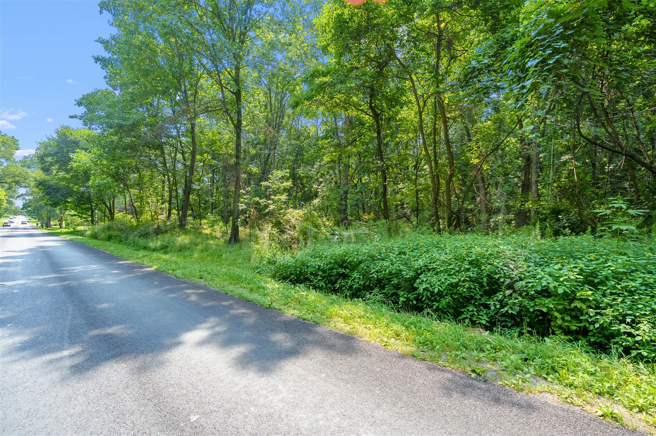 4th image of 0 N 9Th St, Kalamazoo, MI 49009 | MLS# 70552734