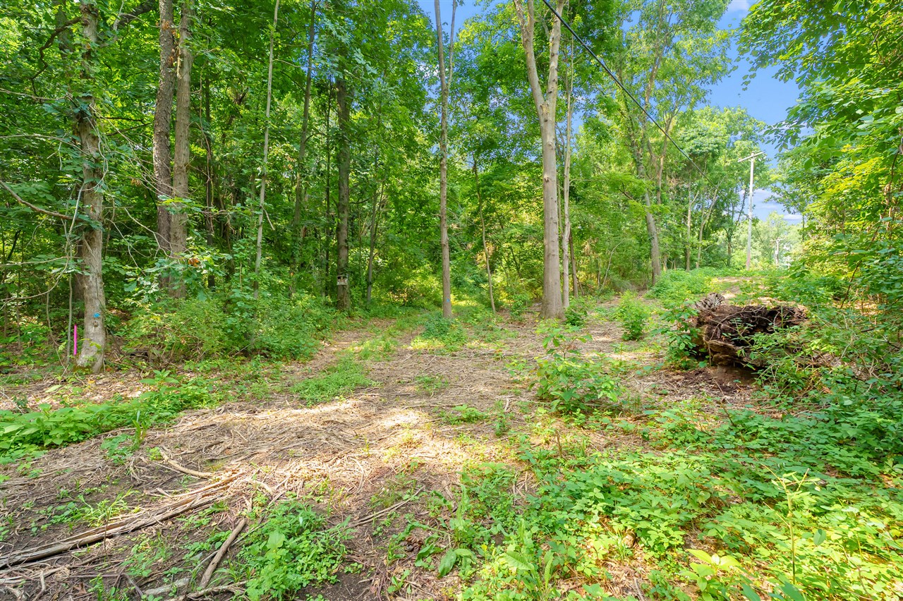 5th image of 0 N 9Th St, Kalamazoo, MI 49009 | MLS# 70552734