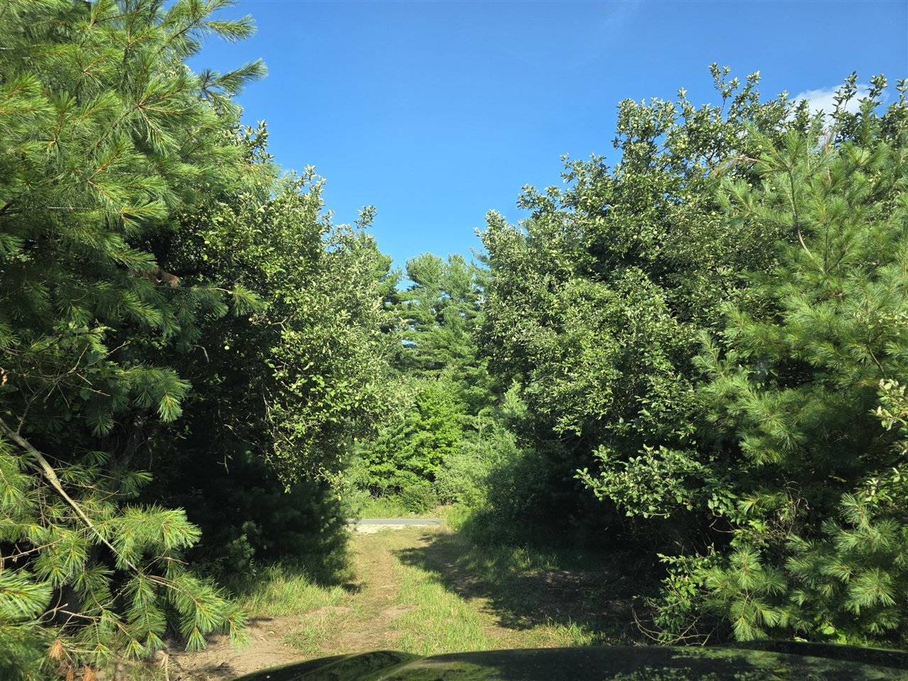 Photo 3 of Land for sale at 14773 180th Avenue, Stanwood, MI 49346 | MLS# 70552745 | Listing updated on 2026-09-15