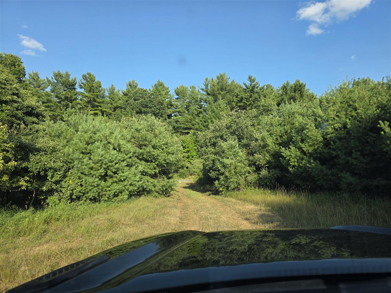 Photo 4 of Land for sale at 14773 180th Avenue, Stanwood, MI 49346 | MLS# 70552745 | Listing updated on 2026-09-15