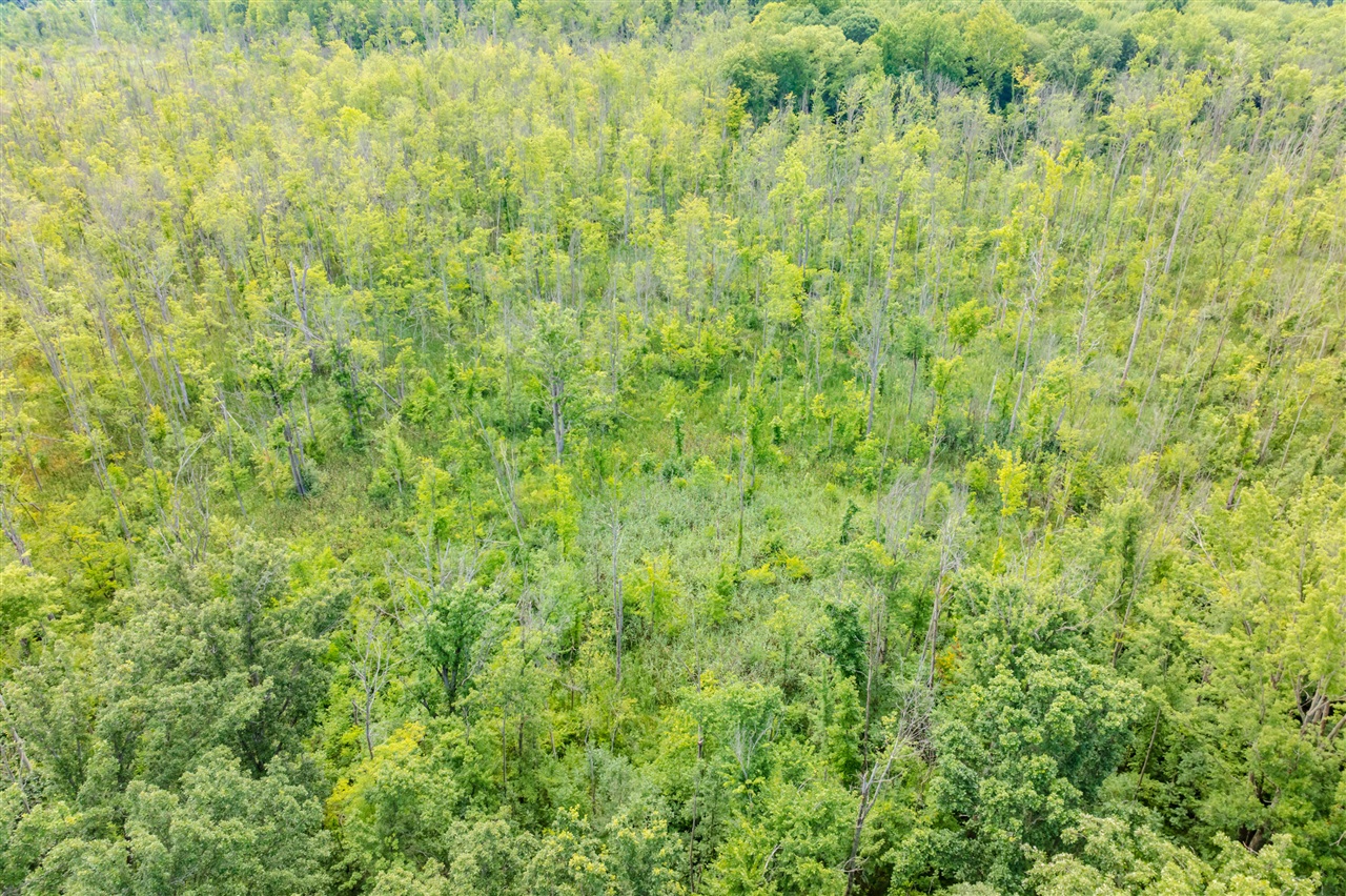 Photo 3 of Land for sale at 45 Acres 108th Ave, Allegan, MI 49010 | MLS# 70552799 | Listing updated on 2026-10-07