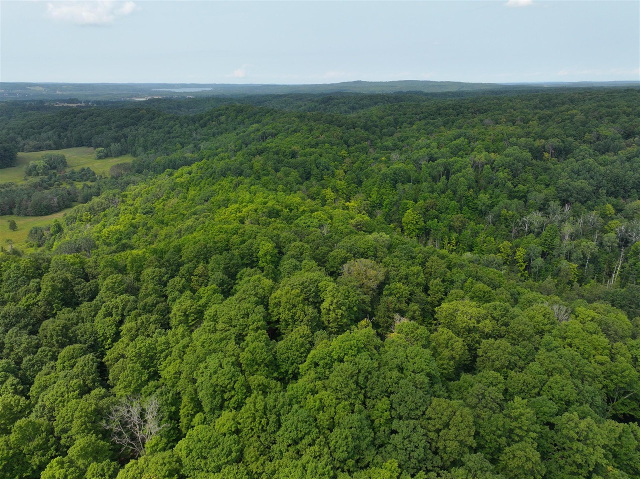 2nd image of V/l 40a Lambdin Rd, East Jordan, MI 49727 | MLS# 70552887