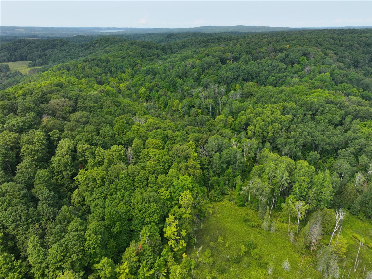3rd image of V/L 40A Lambdin Rd, East Jordan, MI 49727 | MLS# 70552887
