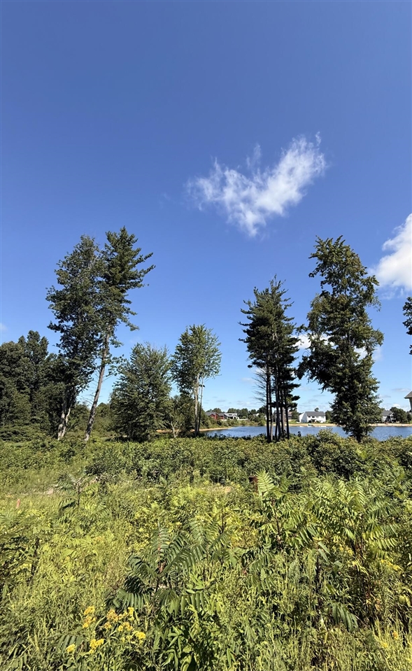 5th image of 5343 Eagle Pass Dr, Hudsonville, MI 49426 | MLS# 70552888