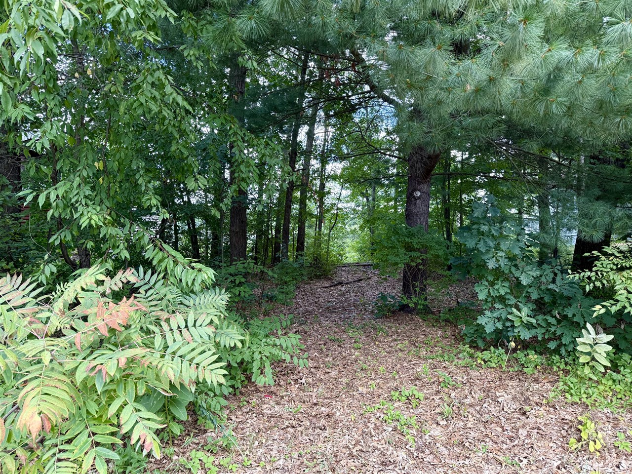 6th image of 8605 Sunset Dr, Orleans, MI 48865 | MLS# 70552929