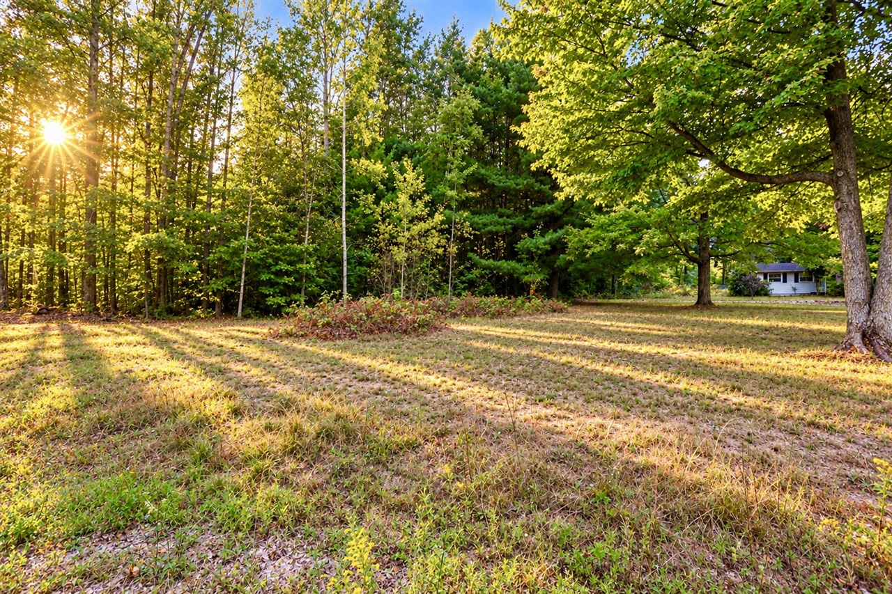 Photo 3 of Land for sale at 00000 Se County Line Rd, Mount Pleasant, MI 48858 | MLS# 70552941 | Listing updated on 2026-09-27