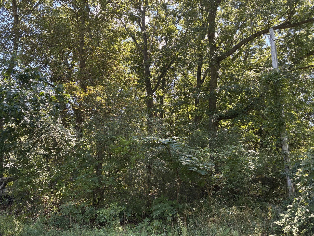 3rd image of Francis Ave, Kalamazoo, MI 49048 | MLS# 70553037