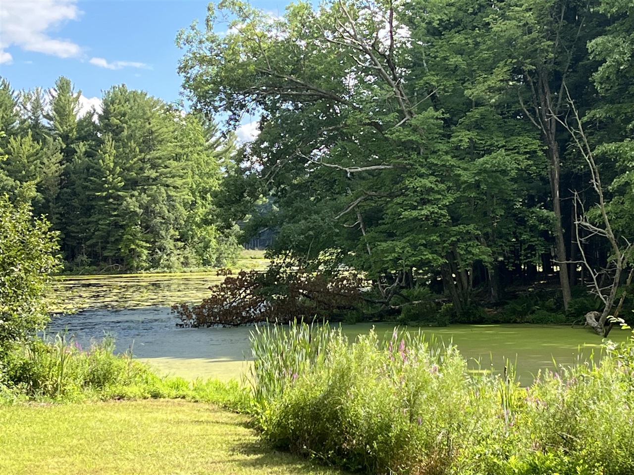 Photo 2 of Sale Pending at 11011 Podunk Ave, Greenville, MI 48838 | MLS# 70553075 | Listing updated on 2026-09-23