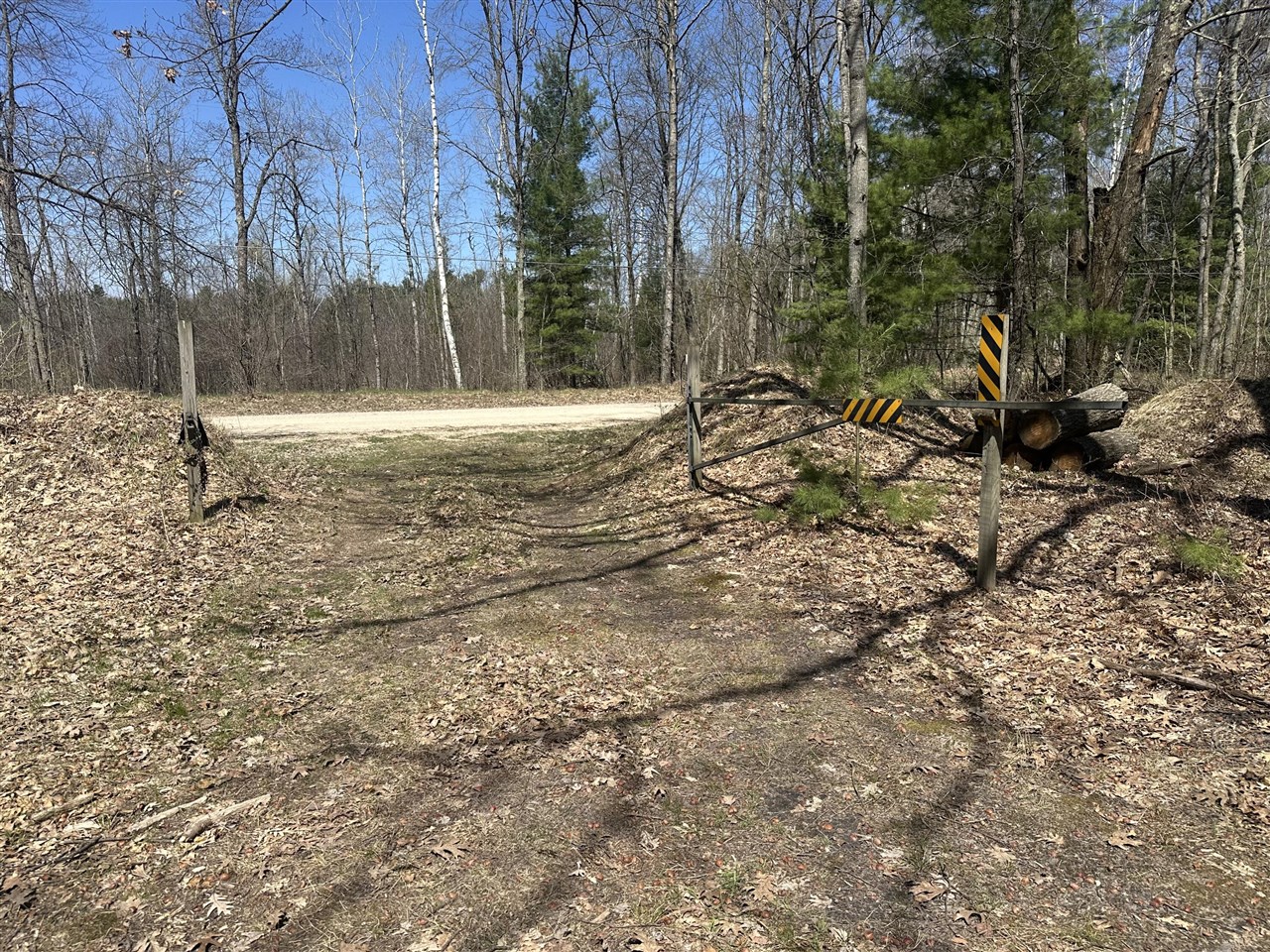 99th image of 604 W Beaver Rd, Bitely, MI 49309 | MLS# 70553118