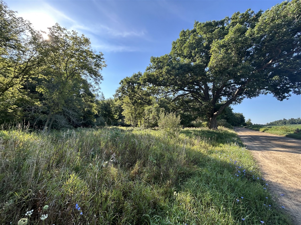 1st image of 0 Mckinney, Brooklyn, MI 49230 | MLS# 70553206