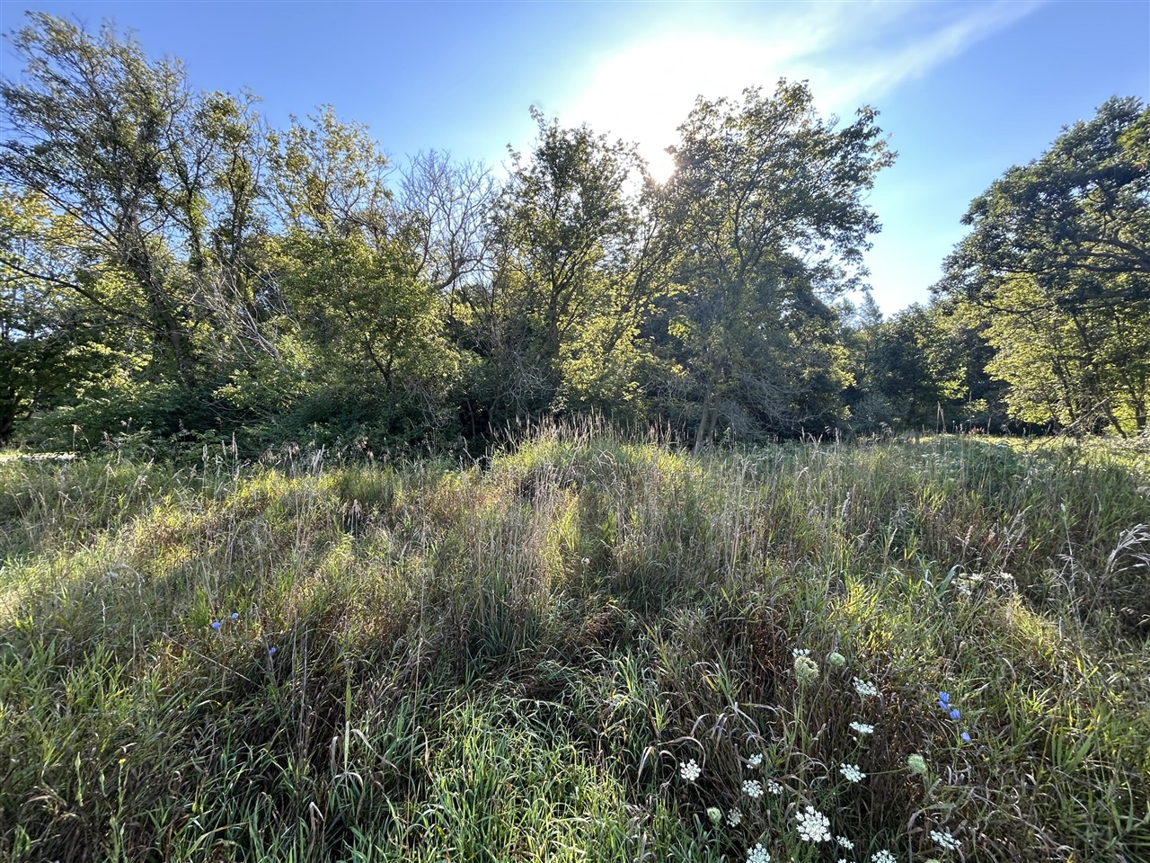 3rd image of 0 Mckinney, Brooklyn, MI 49230 | MLS# 70553206