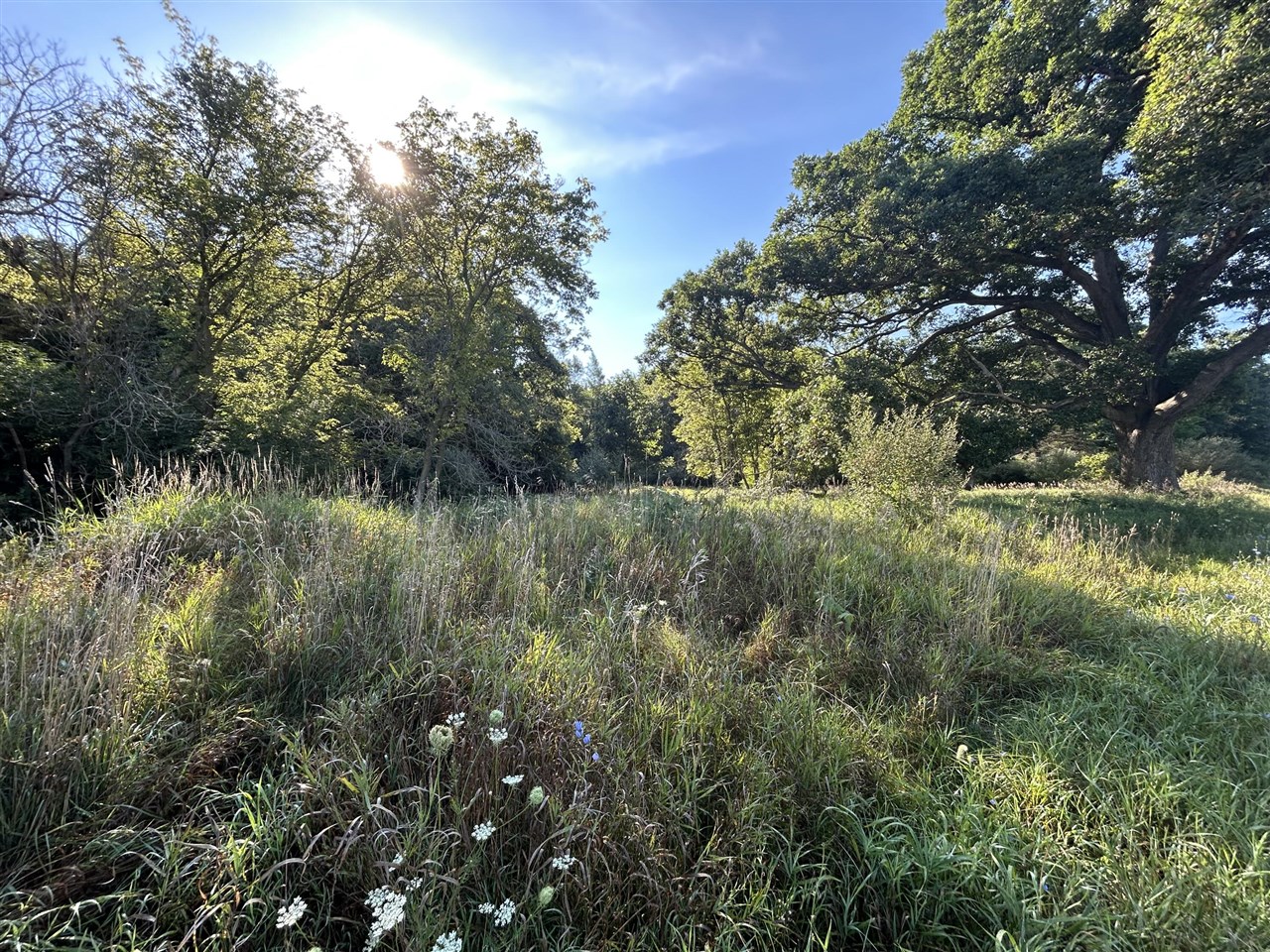 4th image of 0 Mckinney, Brooklyn, MI 49230 | MLS# 70553206