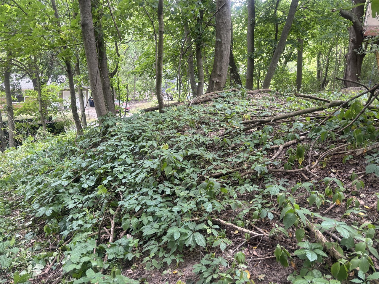 Photo 2 of Land for sale at 615 Hubert St, Grand Rapids, MI 49503 | MLS# 70553241 | Listing updated on 2026-09-18