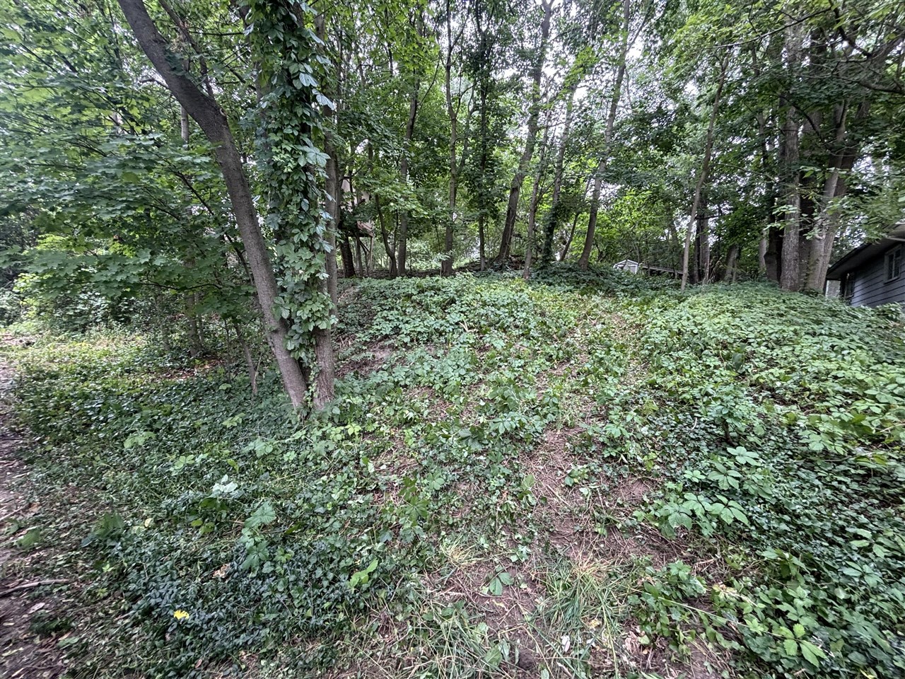 Photo 3 of Land for sale at 615 Hubert St, Grand Rapids, MI 49503 | MLS# 70553241 | Listing updated on 2026-09-18