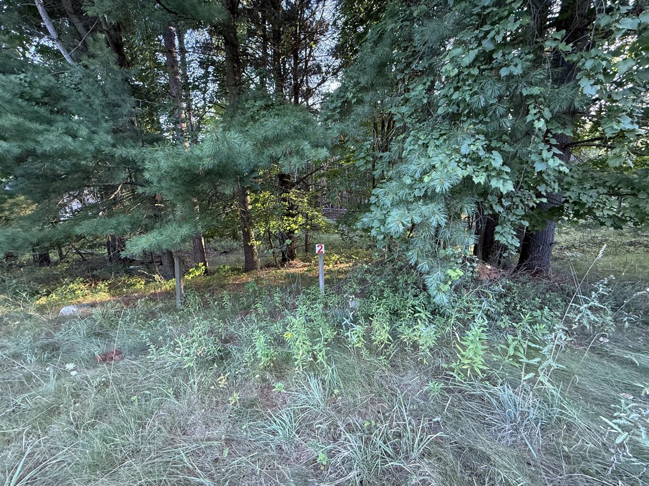 Photo 1 of Land for sale at 16313 Mitchell Crk Trl, Big Rapids, MI 49307 | MLS# 70553589 | Listing updated on 2026-10-01