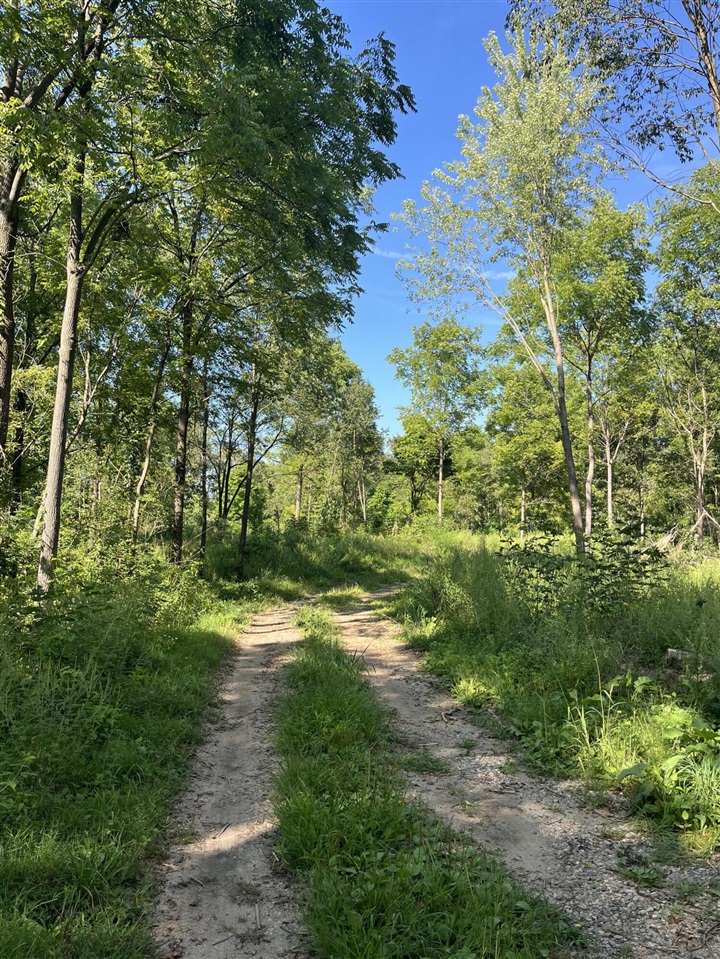 Photo 3 of Land for sale at 128 Washington St, Galesburg, MI 49053 | MLS# 70553591 | Listing updated on 2026-08-25