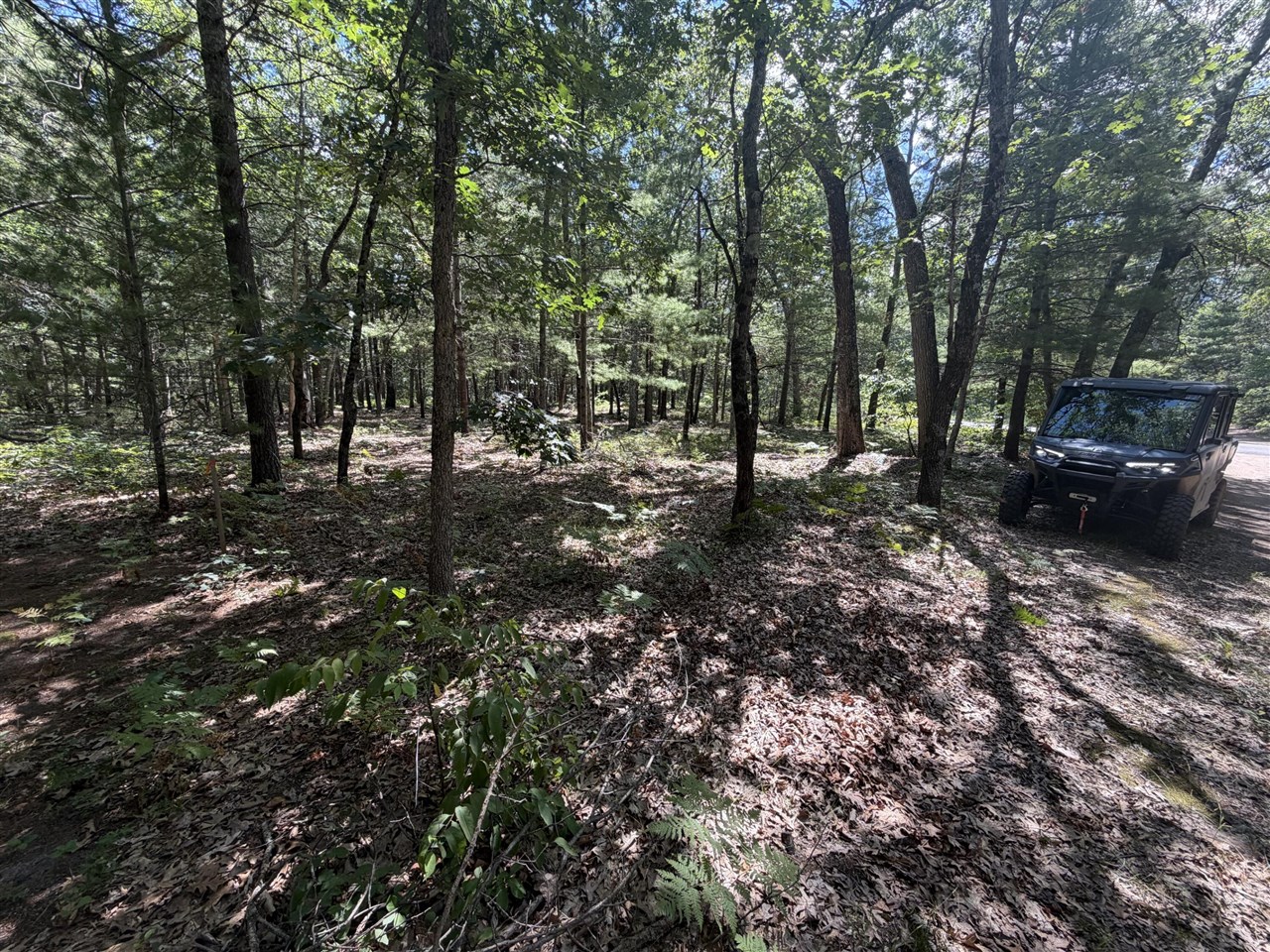 4th image of Lot 14/15 S Star Lake Dr, Baldwin, MI 49304 | MLS# 70553727