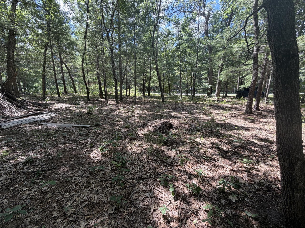 5th image of Lot 14/15 S Star Lake Dr, Baldwin, MI 49304 | MLS# 70553727