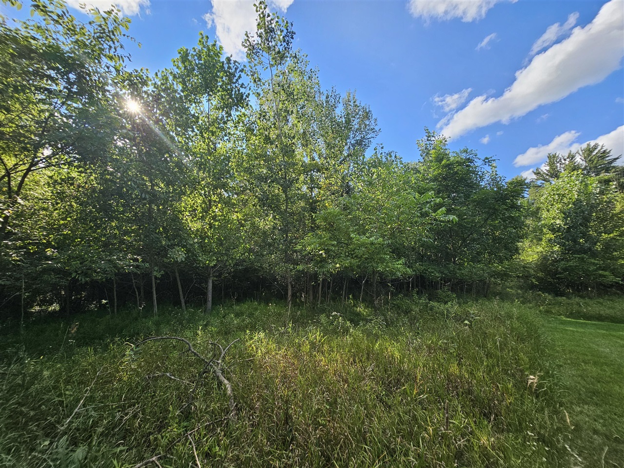 18th image of 0 V/l Tiffany St, Brooklyn, MI 49230 | MLS# 70553842