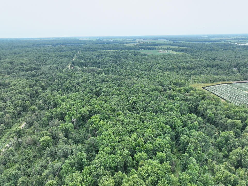 4th image of V/L 40A Crosby, Turner, MI 48765 | MLS# 70554049