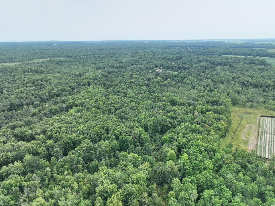 5th image of V/L 40A Crosby, Turner, MI 48765 | MLS# 70554049