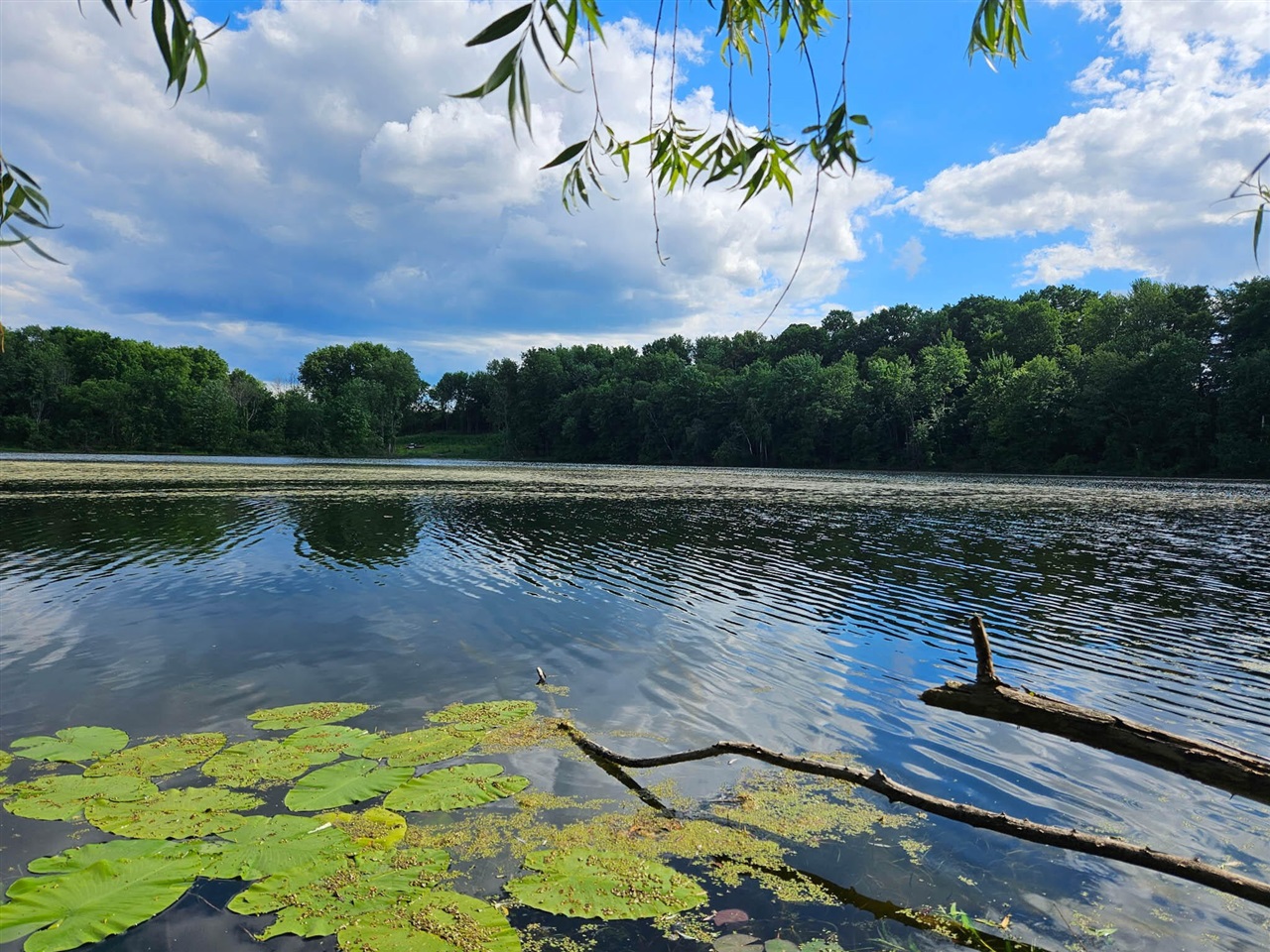 1st image of V L Coral Rd, Coral, MI 49322 | MLS# 70554072