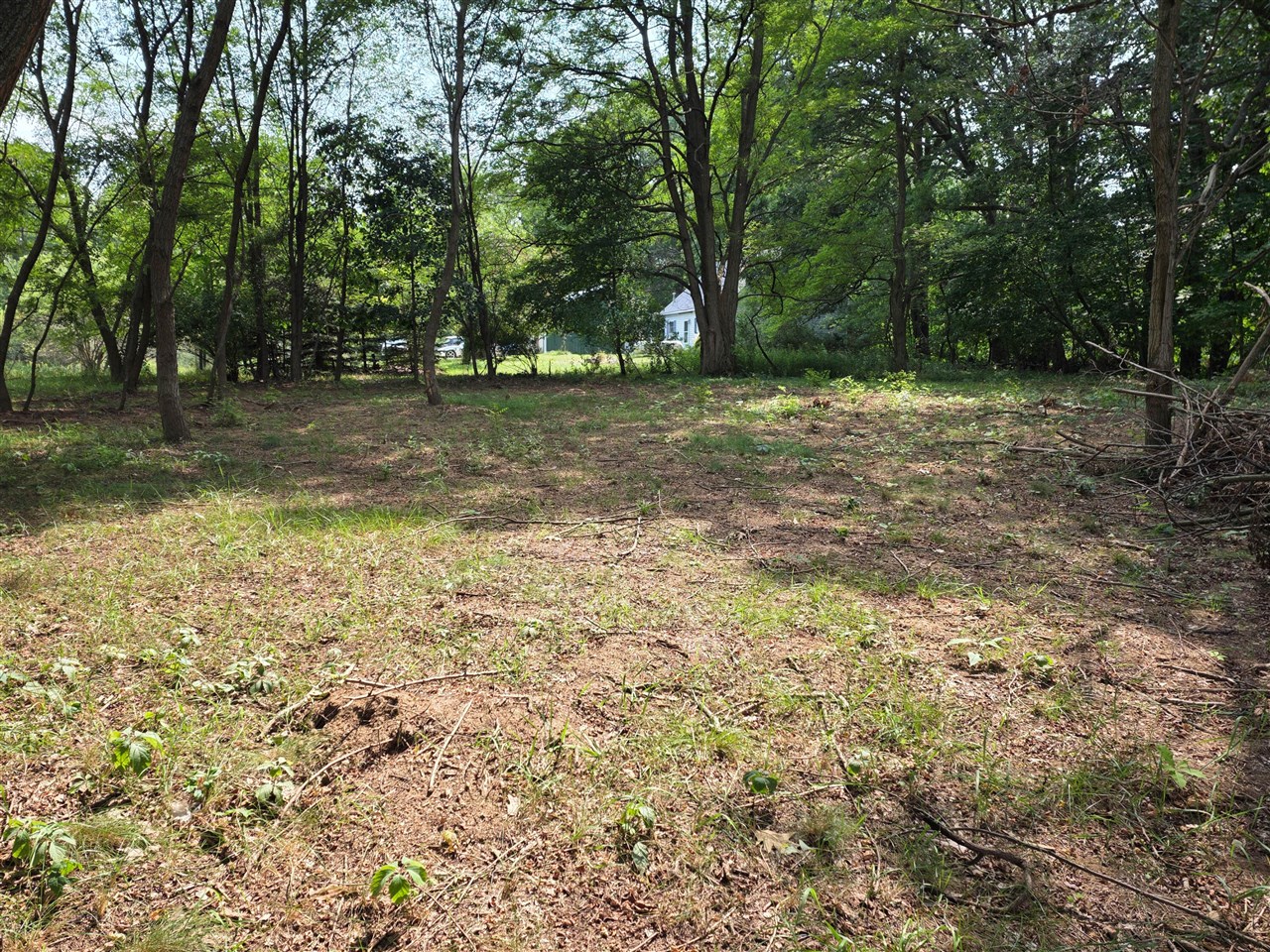 4th image of V L Coral Rd, Coral, MI 49322 | MLS# 70554072
