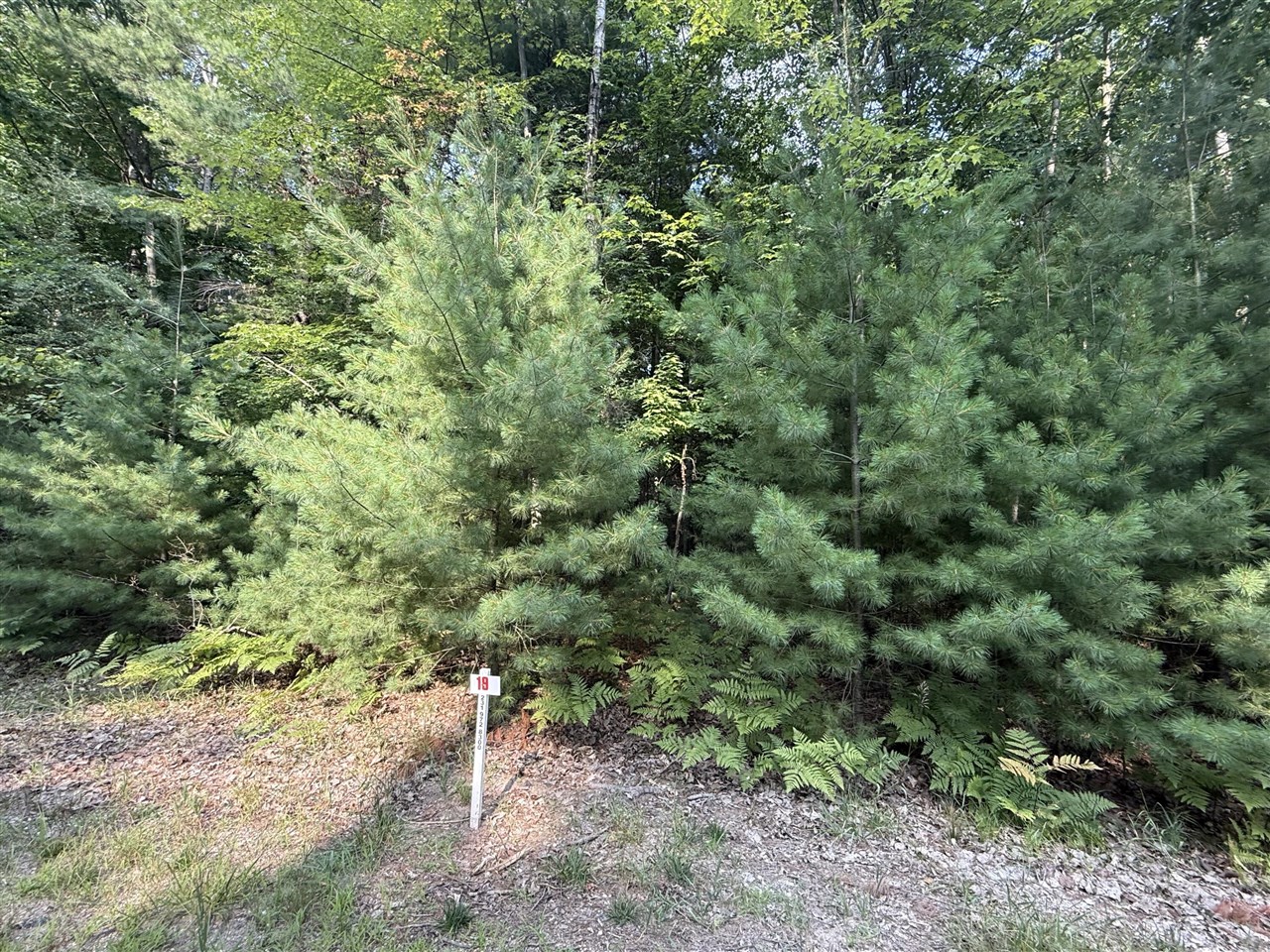 1st image of 6842 White Pine Dr, Stanwood, MI 49346 | MLS# 70554127