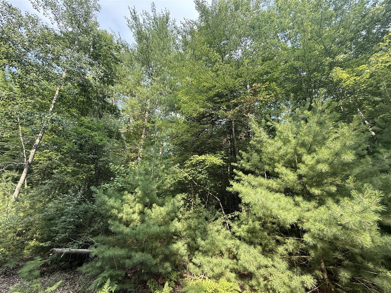 2nd image of 6842 White Pine Dr, Stanwood, MI 49346 | MLS# 70554127