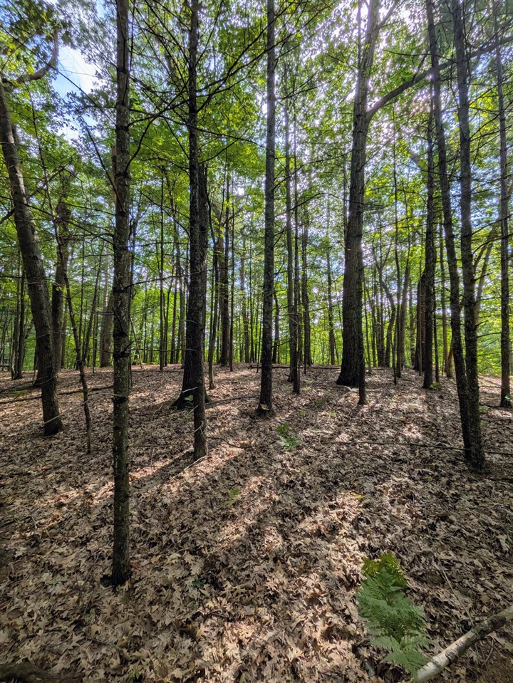2nd image of Ottawa Ln, Pentwater, MI 49449 | MLS# 70554358