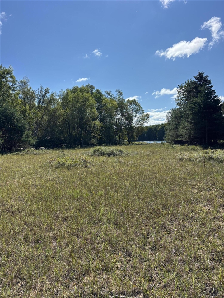 Photo 4 of Land for sale at 6609 Donegal Ct, Stanwood, MI 49346 | MLS# 70554473 | Listing updated on 2026-09-18