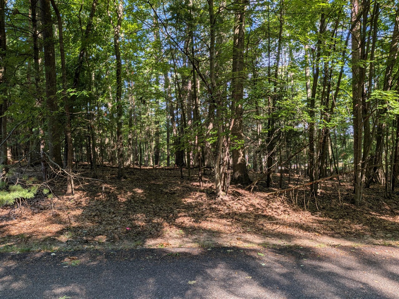1st image of W Shawnee Rd, Pentwater, MI 49449 | MLS# 70554522