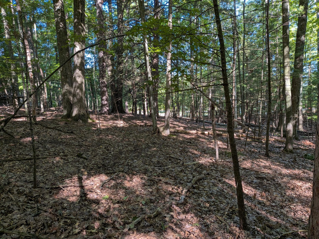 2nd image of W Shawnee Rd, Pentwater, MI 49449 | MLS# 70554522