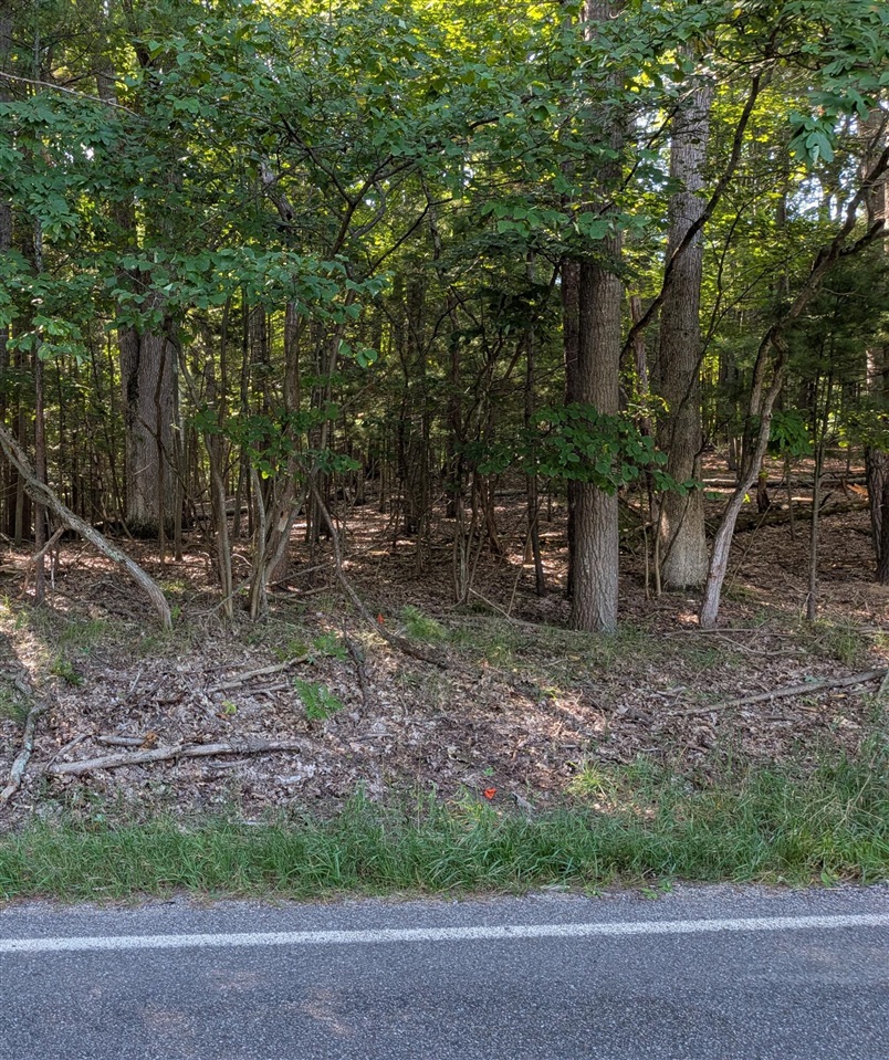 Photo 3 of Land for sale at W Shawnee Rd, Pentwater, MI 49449 | MLS# 70554522 | Listing updated on 2026-09-30