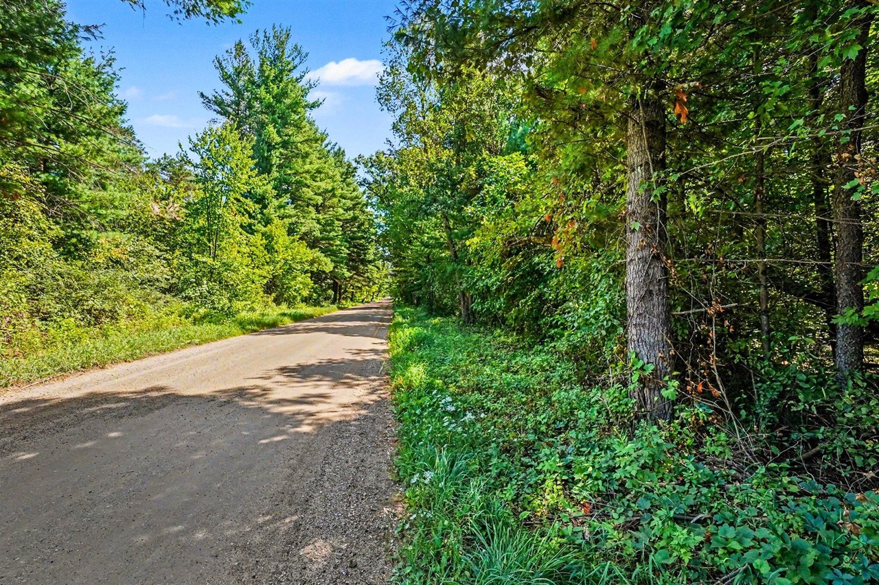 Photo 3 of Land for sale at 00000 1 Mile Rd, Morley, MI 49336 | MLS# 70554686 | Listing updated on 2026-09-16