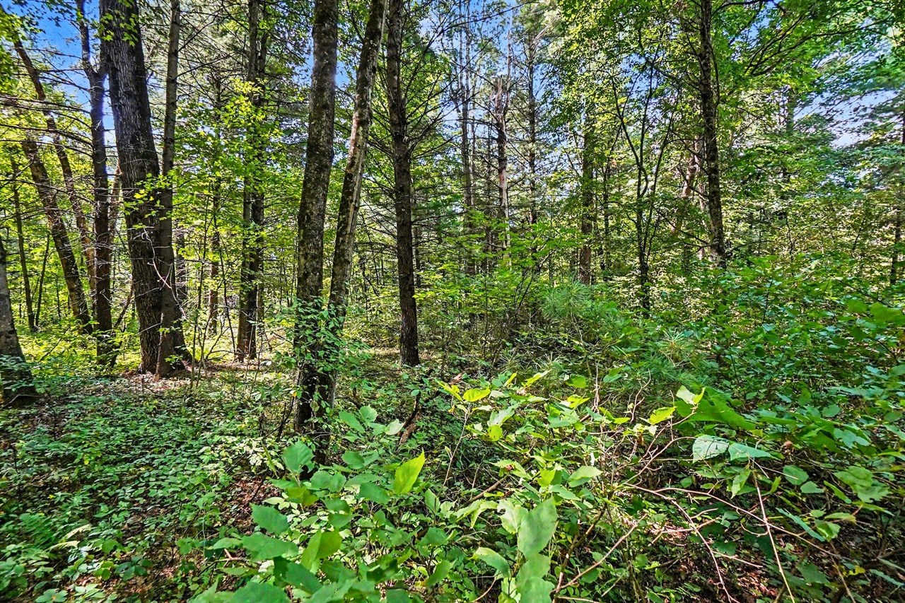 Photo 4 of Land for sale at 00000 1 Mile Rd, Morley, MI 49336 | MLS# 70554686 | Listing updated on 2026-09-16