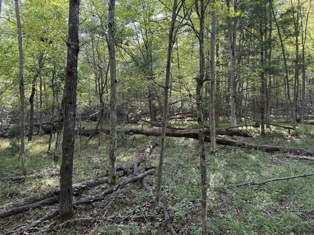 Photo 3 of Sale Pending at 4375 Parke Trl, Prescott, MI 48756 | MLS# 70554779 | Listing updated on 2026-09-20