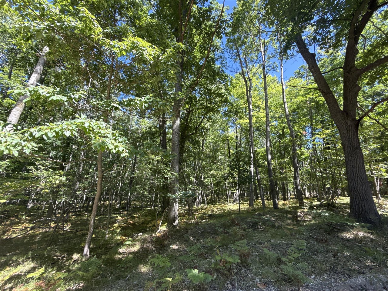 4th image of 12090 Dubois Dr, Stanwood, MI 49346 | MLS# 70554927