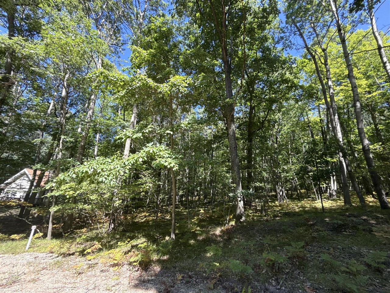 5th image of 12090 Dubois Dr, Stanwood, MI 49346 | MLS# 70554927