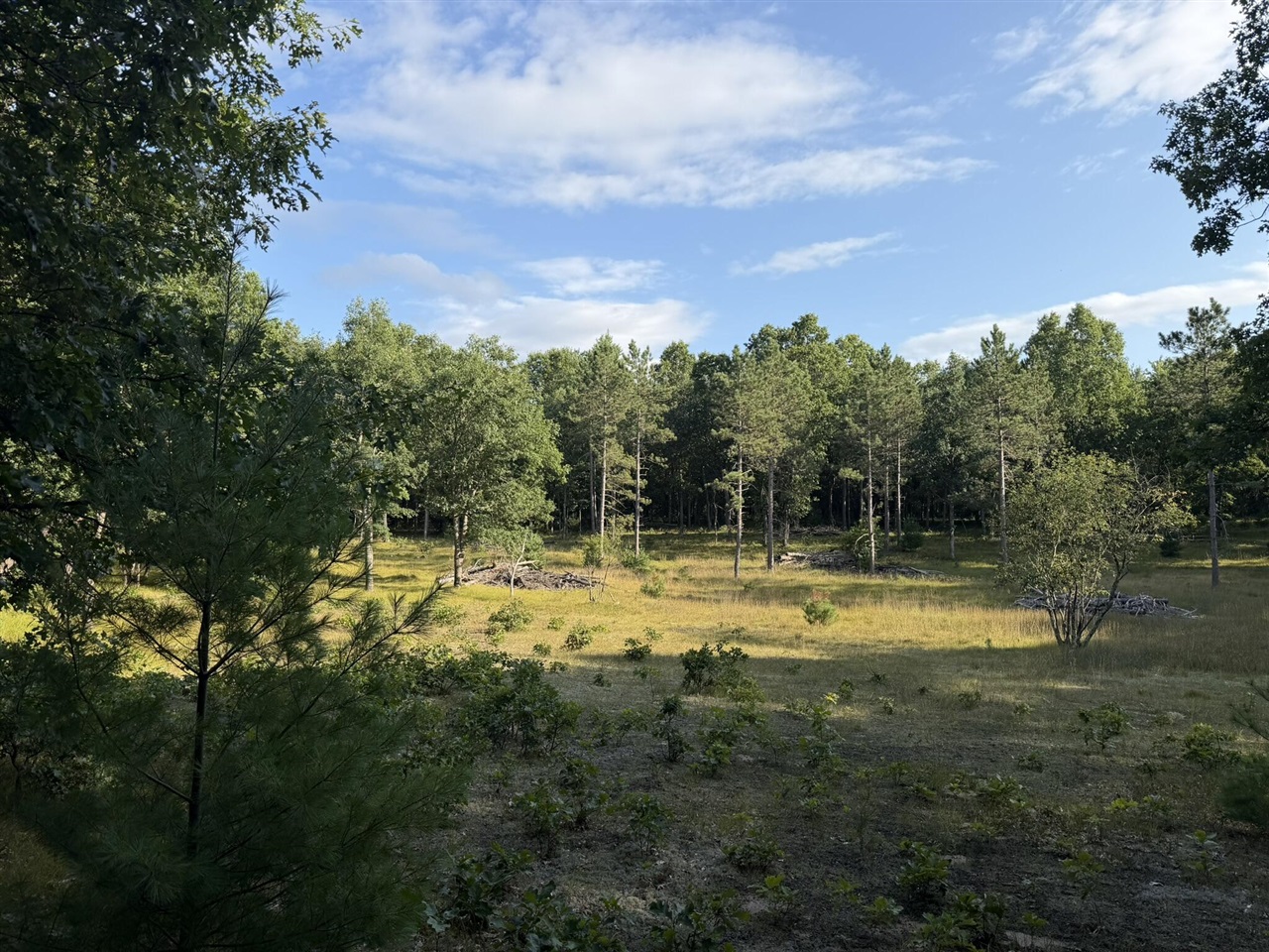 3rd image of 8877 9 Mile Bridge Rd, Manistee, MI 49660 | MLS# 70554940