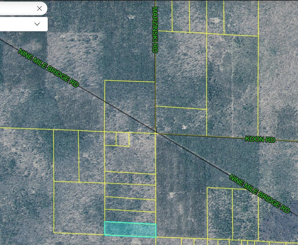 27th image of 8877 9 Mile Bridge Rd, Manistee, MI 49660 | MLS# 70554940