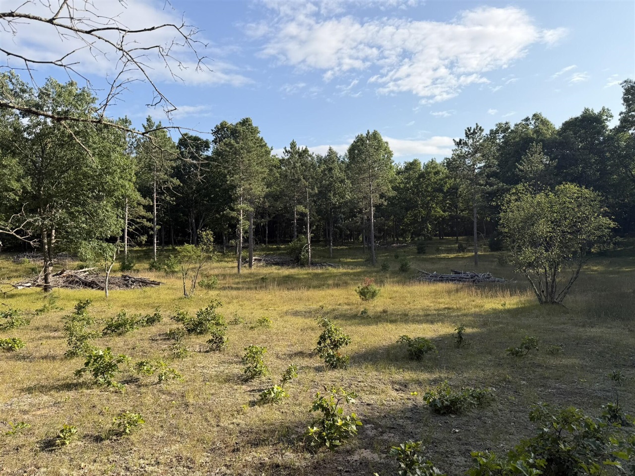 4th image of 8877 9 Mile Bridge Rd, Manistee, MI 49660 | MLS# 70554940