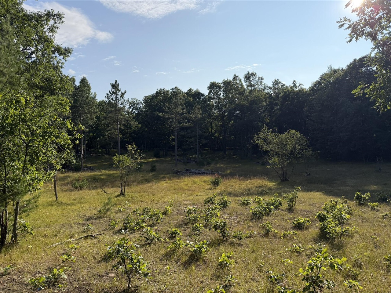 5th image of 8877 9 Mile Bridge Rd, Manistee, MI 49660 | MLS# 70554940
