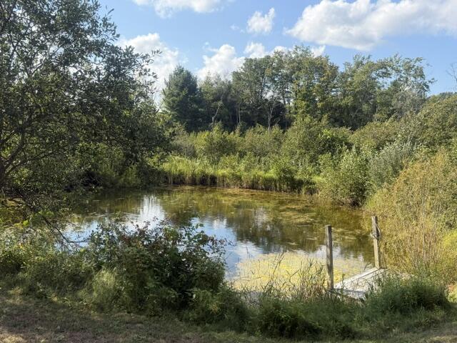 2nd image of 2029 E 6 Mile Rd, White Cloud, MI 49349 | MLS# 70554949
